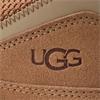 UGG WOMENS LACE TRAINER - CHESTNUT